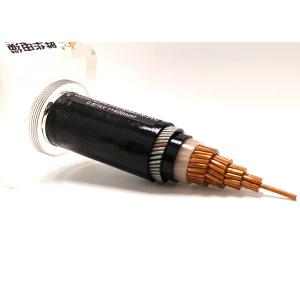  China Conductor Made Fire Resistant XLPE Insulated SWA Copper Cable supplier