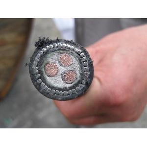 Unshielded / Shielded XLPE Insulated Electrical Power Cable Single / Multi Cores 9